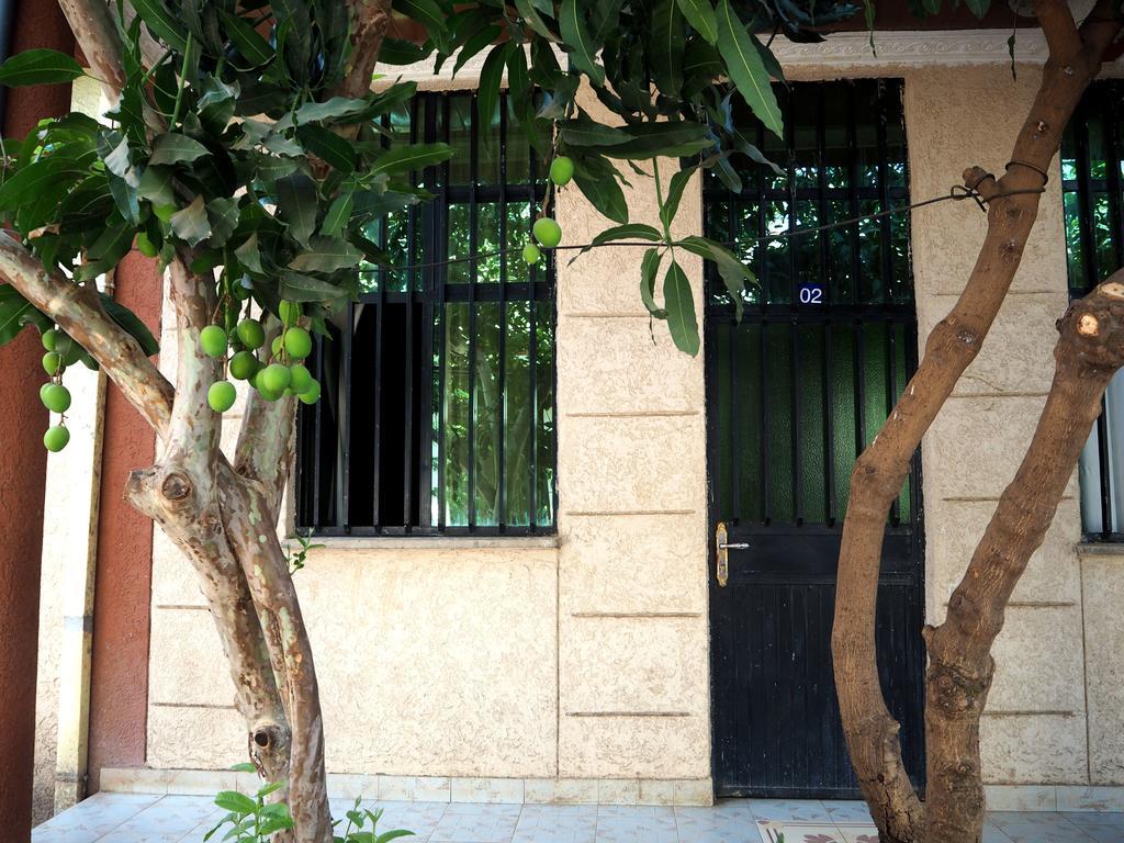 Manuhie Backpackers Lodge Bahir Dar Quarto foto