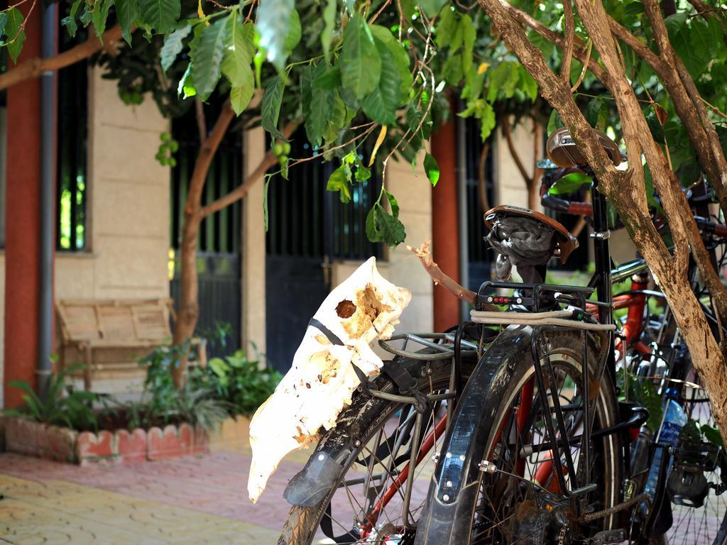 Manuhie Backpackers Lodge Bahir Dar Quarto foto