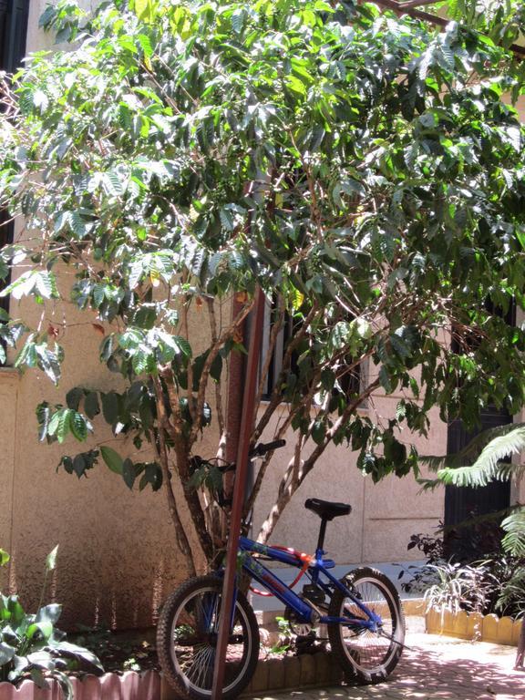 Manuhie Backpackers Lodge Bahir Dar Exterior foto